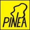 logo firmy PINEA z Łagiewnik Nowych koło Łodzi